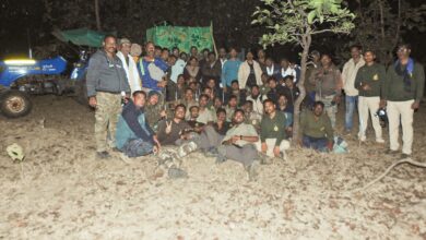 Photo of अखेर वनविभागाचे  आरआरटी पथकाने केले ‘त्या’ नरभक्षक वाघाला जेरबंद