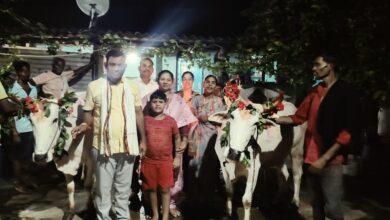 Photo of काँग्रेसनेते व माजी जि.प.अध्यक्ष अजयभाऊ कंकडालवार यांनी इंदाराम येथे बैलपोळा उत्सव साजरा