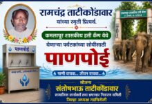 Photo of वडिलांच्या स्मृती जपत संतोषभाऊंचा सामाजिक उपक्रम : कमलापूर हत्ती कॅम्प येथे पर्यटकांसाठी पाणपोईचे लोकार्पण